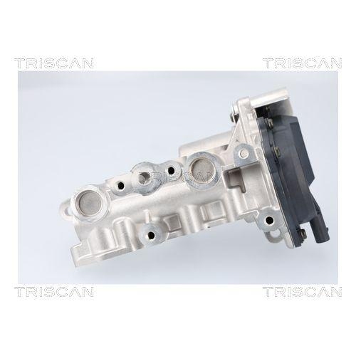 TRISCAN AGR-Ventil 8813 23041