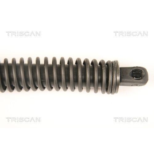 TRISCAN Gasfeder, Koffer-/Laderaum 8710 38228