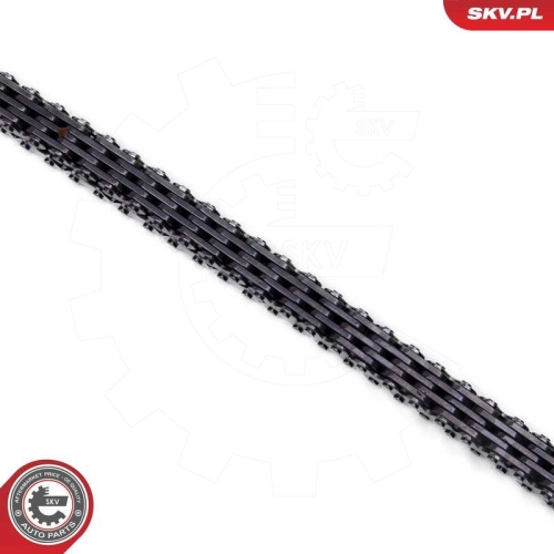 ESEN SKV Steuerkettensatz