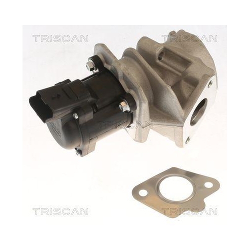 TRISCAN AGR-Ventil 8813 10018