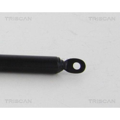 TRISCAN Gasfeder, Heckscheibe 8710 38241
