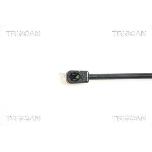 TRISCAN Gasfeder, Koffer-/Laderaum 8710 42224