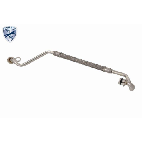 VAICO Ölleitung, Lader EXPERT KITS +