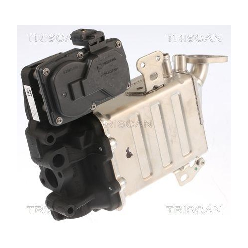 TRISCAN AGR-Ventil 8813 29005