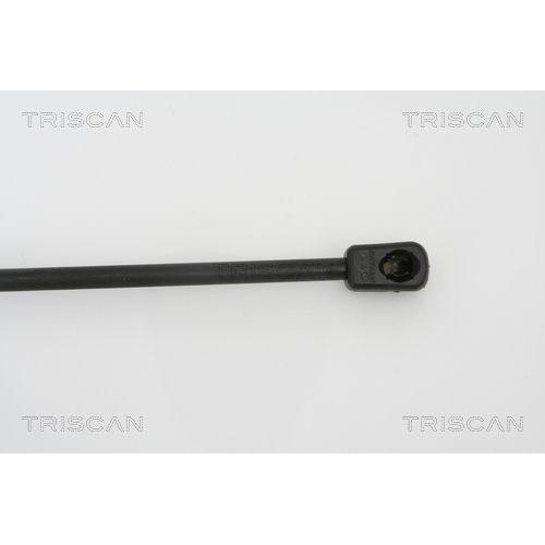 TRISCAN Gasfeder, Koffer-/Laderaum 8710 42235