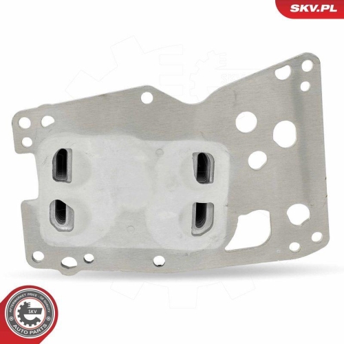 ESEN SKV &Ouml;lk&uuml;hler, Motor&ouml;l 31SKV332