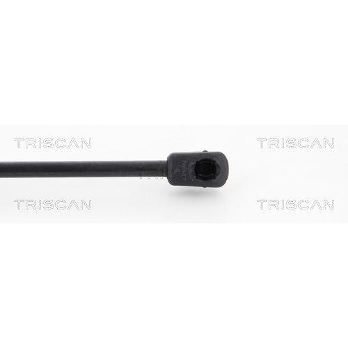TRISCAN Gasfeder, Koffer-/Laderaum 8710 43234