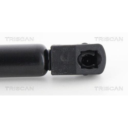 TRISCAN Gasfeder, Koffer-/Laderaum 8710 43238