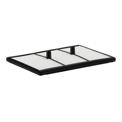 FILTRON Luftfilter AP 198/9