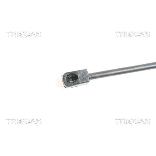 TRISCAN Gasfeder, Koffer-/Laderaum 8710 50237