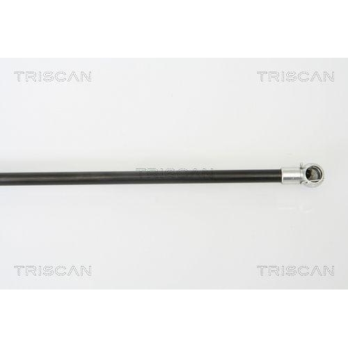 TRISCAN Gasfeder, Koffer-/Laderaum 8710 50241