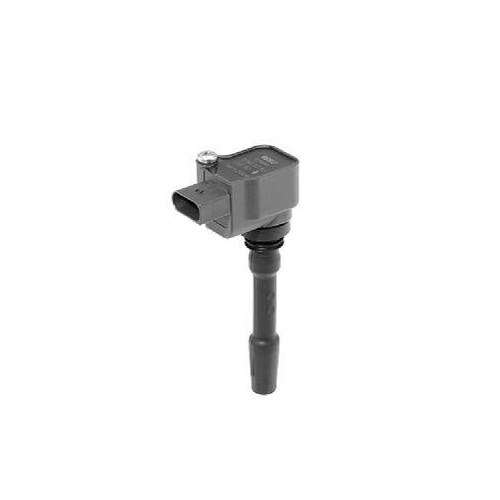 BorgWarner (BERU) Z&uuml;ndspule ZSE163