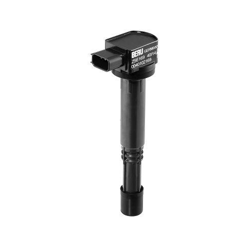 BorgWarner (BERU) Z&uuml;ndspule ZSE169