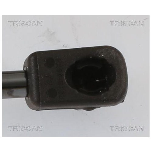 TRISCAN Gasfeder, Motorhaube 8710 27110
