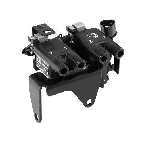 BorgWarner (BERU) Z&uuml;ndspule ZS477