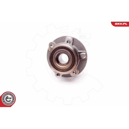 ESEN SKV Radlagersatz 29SKV149