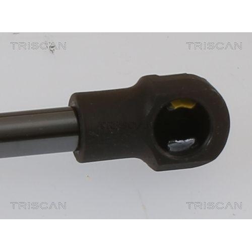 TRISCAN Gasfeder, Koffer-/Laderaum 8710 40243