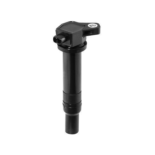 BorgWarner (BERU) Z&uuml;ndspule ZS481