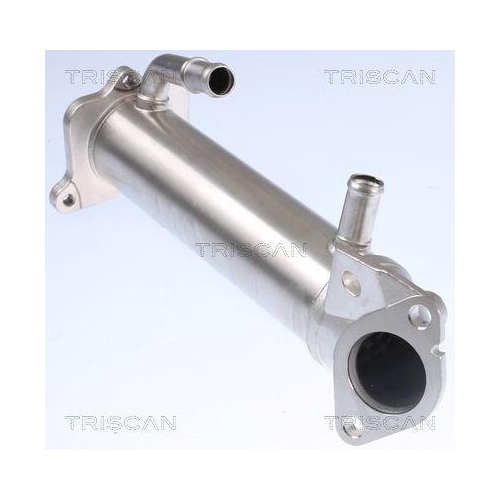 TRISCAN K&uuml;hler, Abgasr&uuml;ckf&uuml;hrung 8813 16109