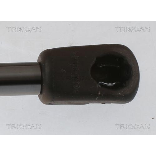 TRISCAN Gasfeder, Koffer-/Laderaum 8710 40246
