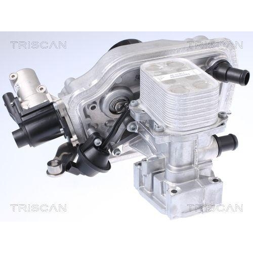 TRISCAN K&uuml;hler, Abgasr&uuml;ckf&uuml;hrung 8813 29323