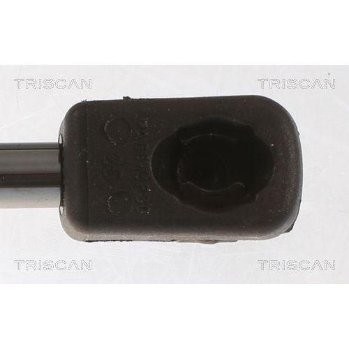 TRISCAN Gasfeder, Koffer-/Laderaum 8710 43247