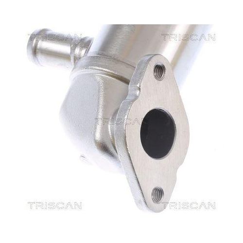 TRISCAN K&uuml;hler, Abgasr&uuml;ckf&uuml;hrung 8813 29343