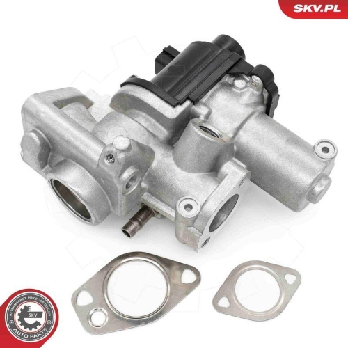 ESEN SKV AGR-Ventil 14SKV253