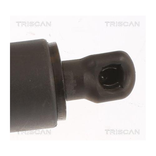 TRISCAN Gasfeder, Koffer-/Laderaum 8710 27304