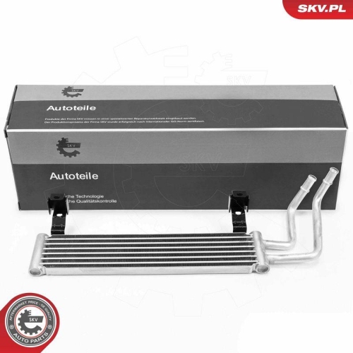 ESEN SKV &Ouml;lk&uuml;hler, Motor&ouml;l 31SKV355