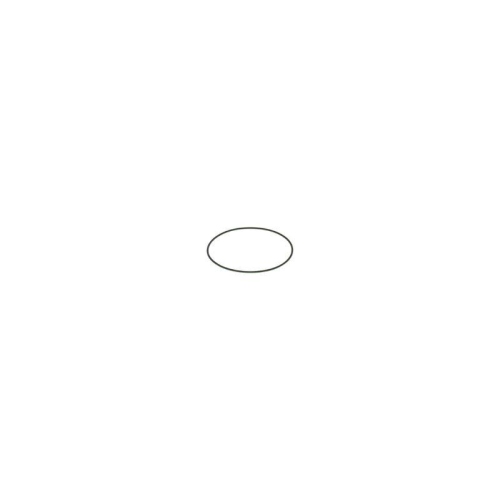 BOSCH Gummiring F 00N 201 204