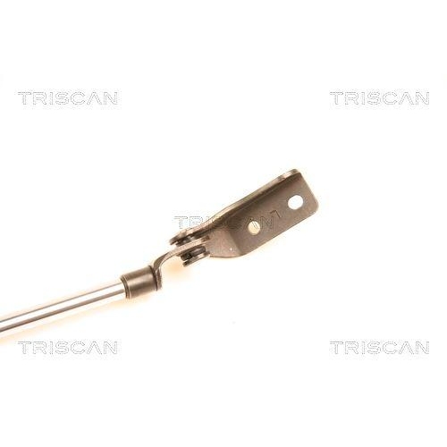 TRISCAN Gasfeder, Koffer-/Laderaum