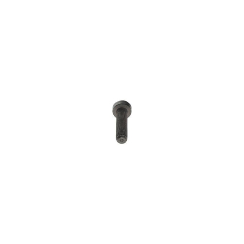 BOSCH Schraube F 00N 202 190