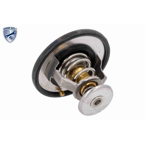 ACKOJA Thermostat, K&uuml;hlmittel EXPERT KITS + A52-99-0005