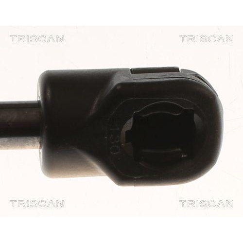 TRISCAN Gasfeder, Koffer-/Laderaum 8710 82004