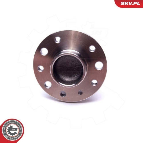 ESEN SKV Radlagersatz 29SKV549