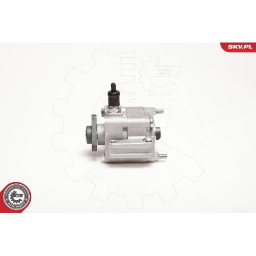 ESEN SKV Hydraulikpumpe, Lenkung 10SKV109