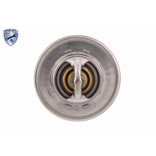 ACKOJA Thermostat, K&uuml;hlmittel EXPERT KITS + A52-99-0025