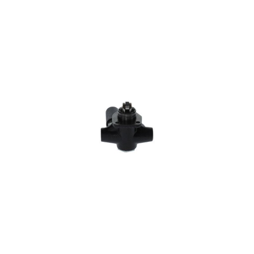 BOSCH Kraftstoffpumpe 0 440 008 007