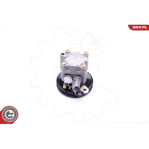 ESEN SKV Hydraulikpumpe, Lenkung 10SKV276