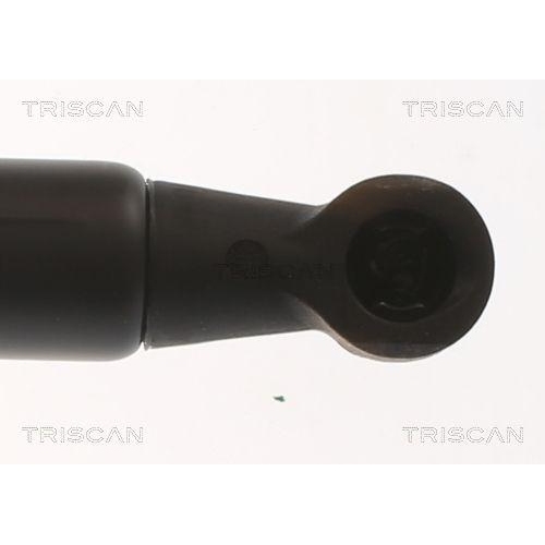 TRISCAN Gasfeder, Koffer-/Laderaum 8710 16306
