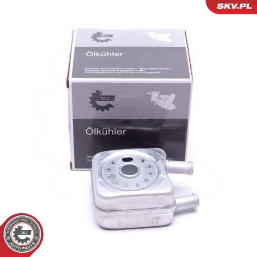 ESEN SKV &Ouml;lk&uuml;hler, Motor&ouml;l 31SKV202