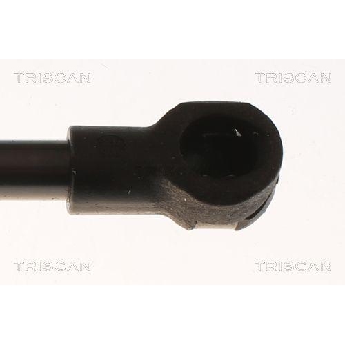 TRISCAN Gasfeder, Koffer-/Laderaum 8710 13297