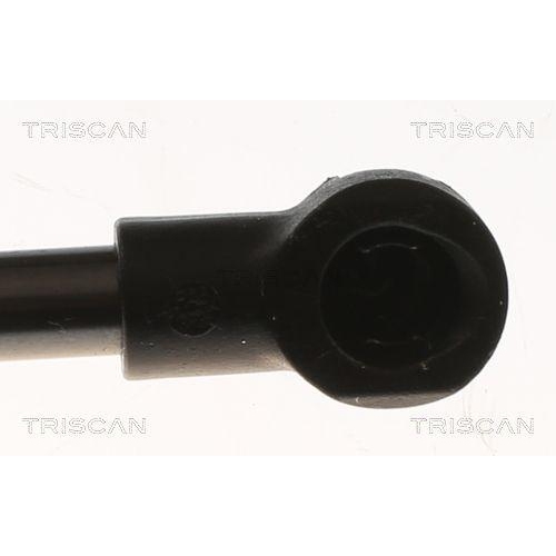 TRISCAN Gasfeder, Koffer-/Laderaum 8710 29315