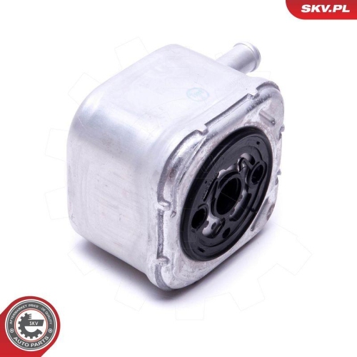 ESEN SKV &Ouml;lk&uuml;hler, Motor&ouml;l 31SKV205