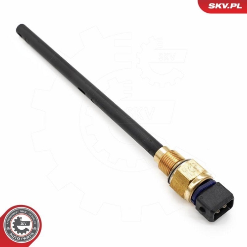 ESEN SKV Sensor, Motor&ouml;lstand 17SKV939