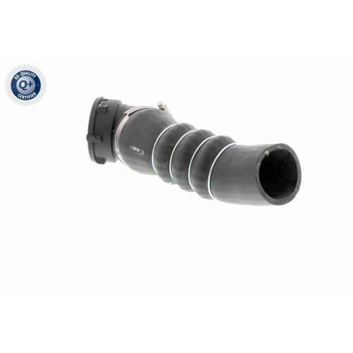 VAICO Ladeluftschlauch Q+, Erstausr&uuml;sterqualit&auml;t V20-1626