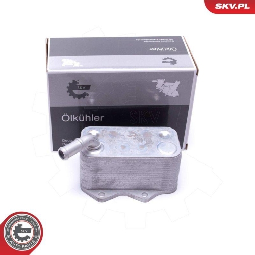ESEN SKV &Ouml;lk&uuml;hler, Motor&ouml;l 31SKV206