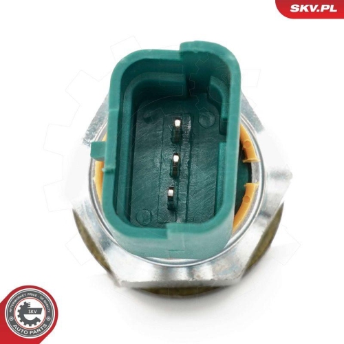 ESEN SKV Sensor, Motor&ouml;lstand 17SKV954