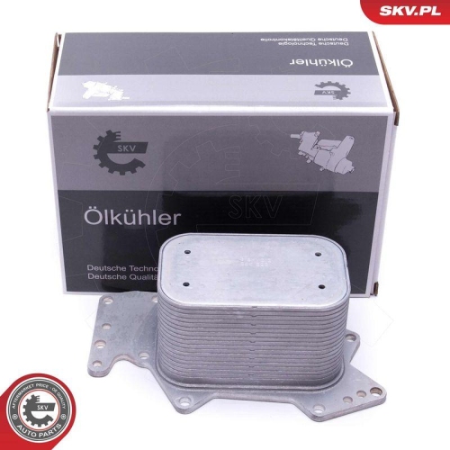 ESEN SKV &Ouml;lk&uuml;hler, Motor&ouml;l 31SKV212